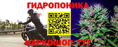 молекула духа Аргун
