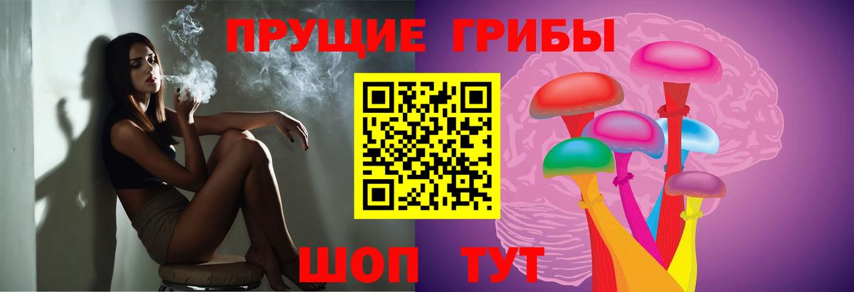 Балашиха  Галлюциногенные грибы Psilocybine cubensis  где можно купить наркотик  Вход с VPN 