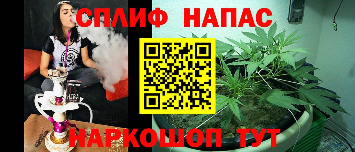 МАРИХУАНА сатива Балашиха